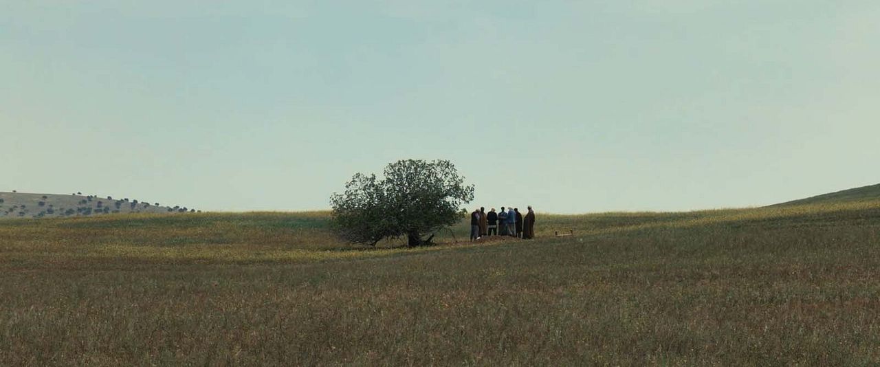 Fanon : Fotos