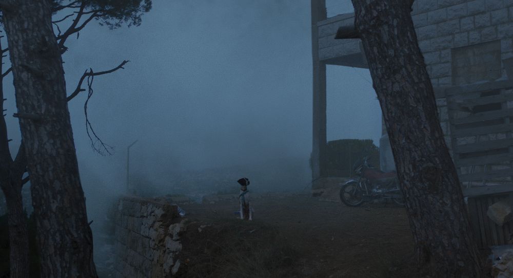 Cão Morto : Fotos