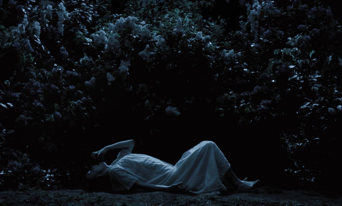 Nosferatu : Fotos