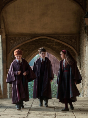 Harry Potter: A Série : Poster