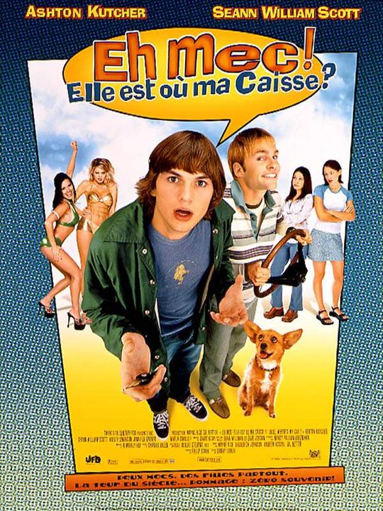 Cara, Cadê o Meu Carro? : Poster Ashton Kutcher, Danny Leiner