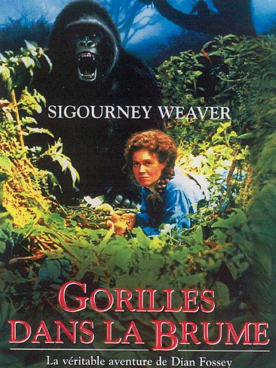 Nas Montanhas dos Gorilas : Poster