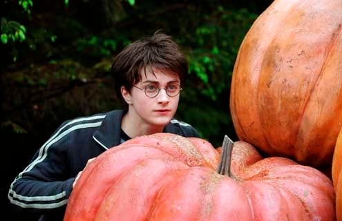 Harry Potter e o Prisioneiro de Azkaban : Fotos Alfonso Cuarón, Daniel Radcliffe