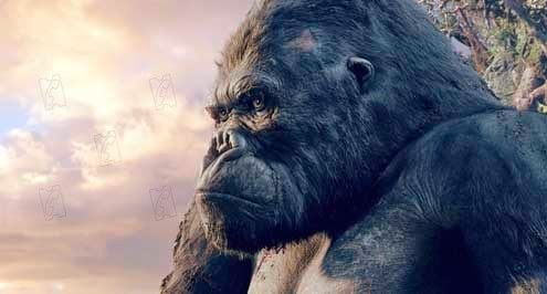 King Kong : Fotos Peter Jackson