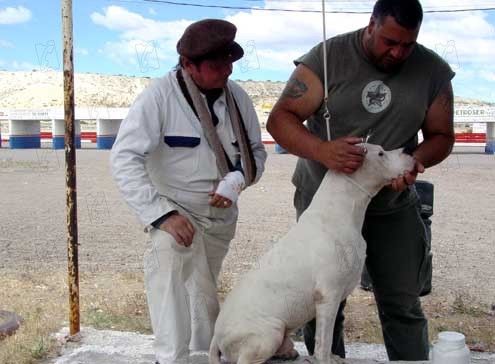 O Cachorro : Fotos Carlos Sorín, Juan Villegas