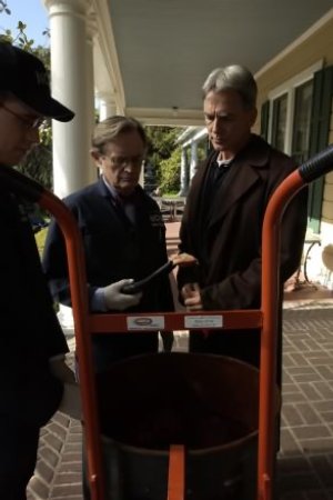 Fotos Mark Harmon, David McCallum