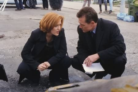 Fotos Gillian Anderson, Robert Patrick