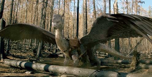 Eragon : Fotos Stefen Fangmeier