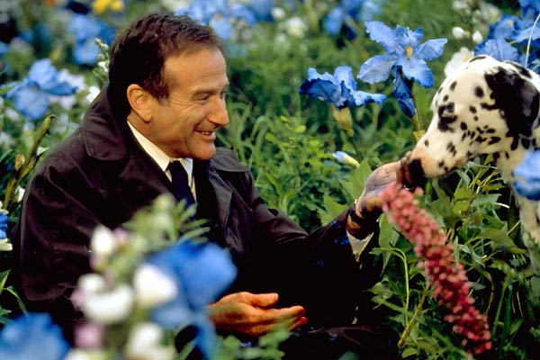 Amor Além da Vida : Fotos Robin Williams, Vincent Ward