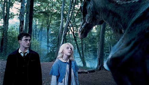 Harry Potter e a Ordem da Fênix: Evanna Lynch, Daniel Radcliffe
