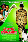 Bustin' Bonaparte : Poster