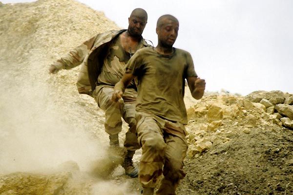 Flanders : Fotos Samuel Boidin