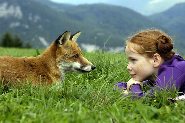 Le renard et l'enfant : Fotos Bertille Noël-Bruneau