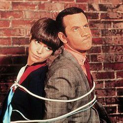 Get Smart : Poster
