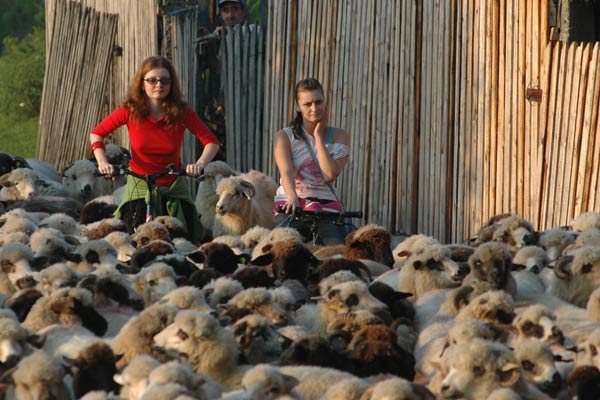 Doente de Amor : Fotos Ioana Barbu, Maria Popistasu, Tudor Giurgiu