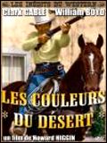 O Deserto Pintado : Poster