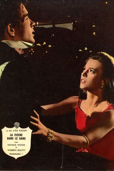 Clamor do Sexo : Fotos Elia Kazan, Natalie Wood, Warren Beatty