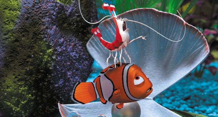 Procurando Nemo : Fotos
