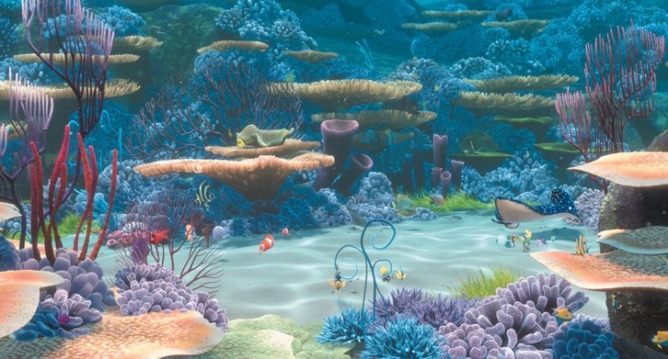 Procurando Nemo : Fotos