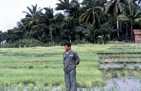 Bom Dia, Vietnã : Fotos Barry Levinson, Robin Williams