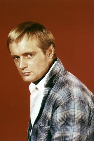 Fotos David McCallum