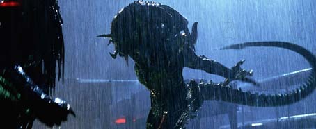 Alien vs. Predador 2 : Fotos Colin Strause