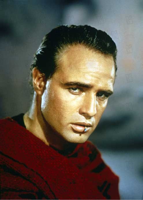 A Face Oculta : Fotos Marlon Brando