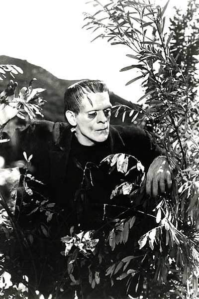 Frankenstein : Fotos Boris Karloff, James Whale