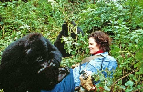 Nas Montanhas dos Gorilas : Fotos Sigourney Weaver, Michael Apted