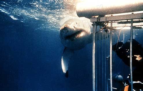 Tubarão : Fotos Steven Spielberg