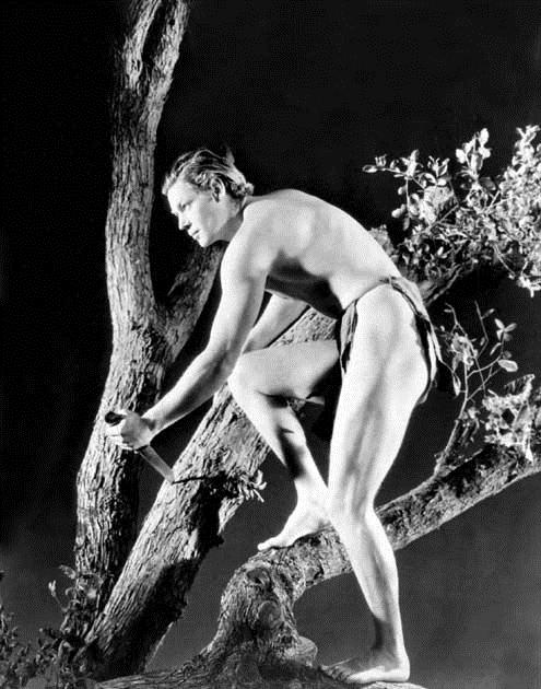 Tarzan, o Filho das Selvas : Fotos Johnny Weissmuller, W.S. Van Dyke