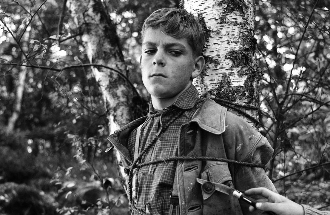 A Guerra dos Botões : Fotos