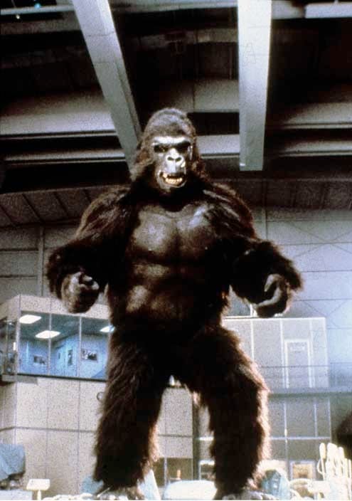 King Kong 2 : Fotos John Guillermin