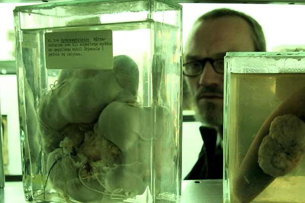 Fotos Ingvar Sigurðsson, Baltasar Kormákur