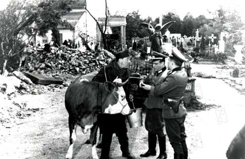 La Vache et le prisonnier : Fotos Henri Verneuil, Fernandel