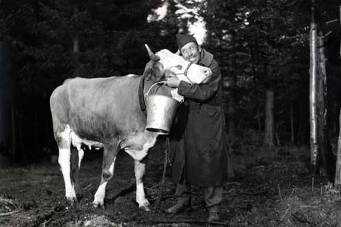La Vache et le prisonnier : Fotos Fernandel, Henri Verneuil