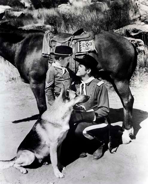 As Aventuras de Rin Tin Tin : Fotos