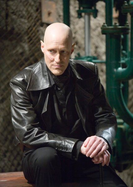 Fotos Christopher Heyerdahl
