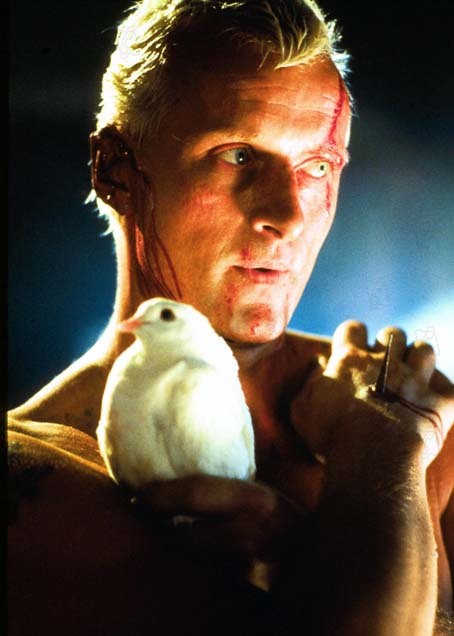 Blade Runner, o Caçador de Andróides : Fotos Ridley Scott, Rutger Hauer