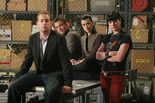 Fotos Sean Murray, Cote De Pablo, Pauley Perrette, Michael Weatherly