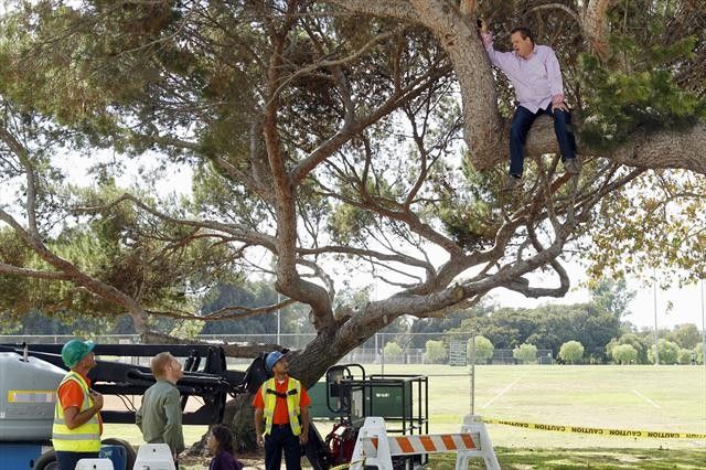 Modern Family : Fotos Jesse Tyler Ferguson, Eric Stonestreet