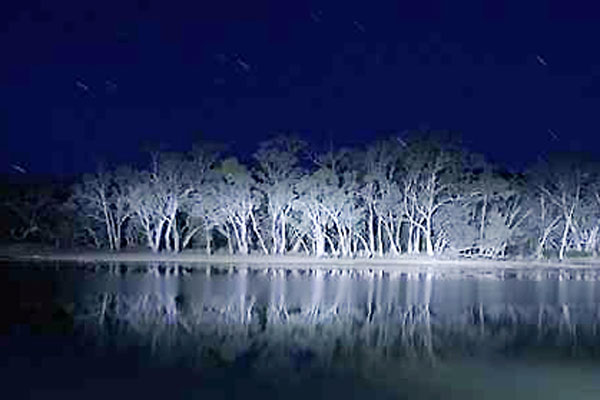 O Segredo do Lago Mungo : Fotos Joel Anderson (II)