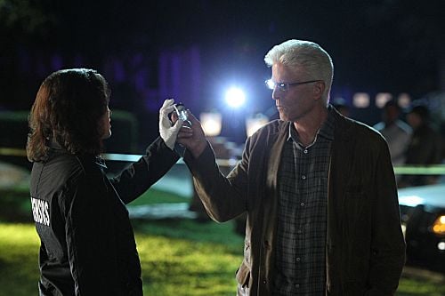 CSI: Crime Scene Investigation : Fotos Ted Danson, Jorja Fox