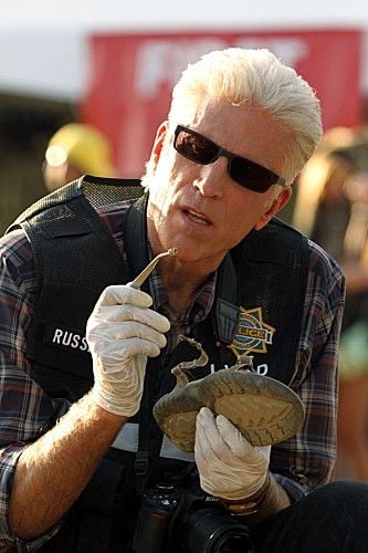 CSI: Crime Scene Investigation : Fotos Ted Danson