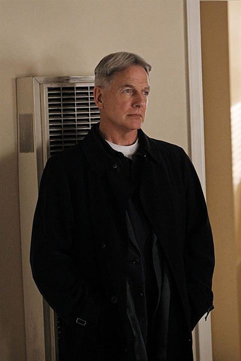 NCIS : Fotos Mark Harmon