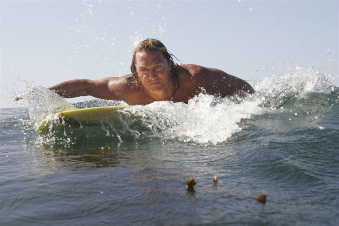 Profissão Surfista : Fotos