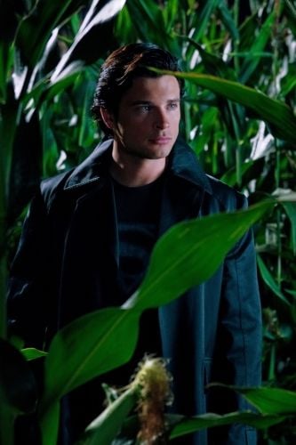 Fotos Tom Welling