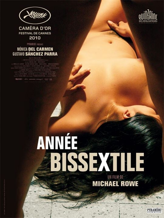 Ano Bissexto : Poster