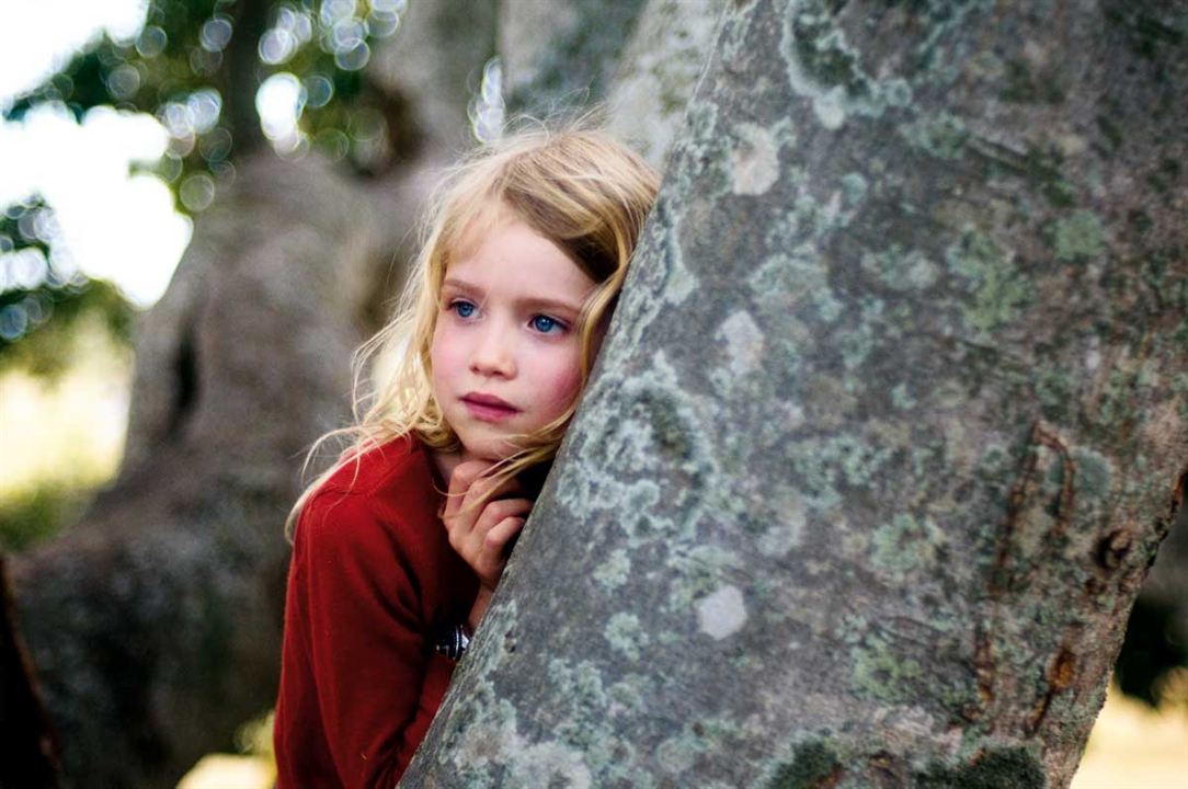 A Árvore : Fotos Morgan Davies, Julie Bertuccelli