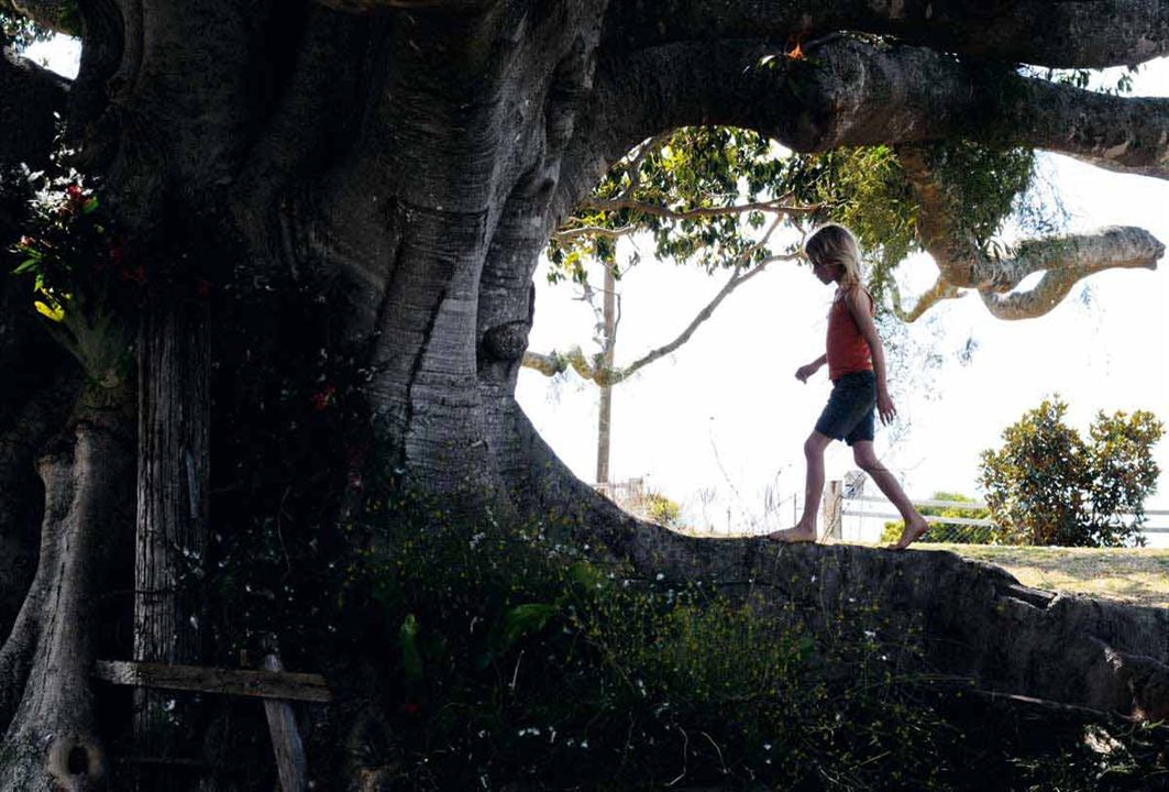 A Árvore : Fotos Julie Bertuccelli, Morgan Davies